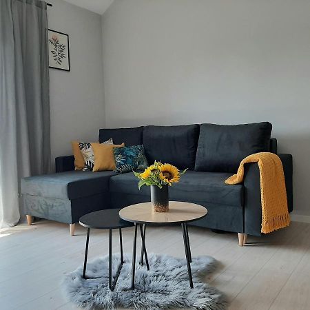 Apartament Miodowy Владыславово Экстерьер фото